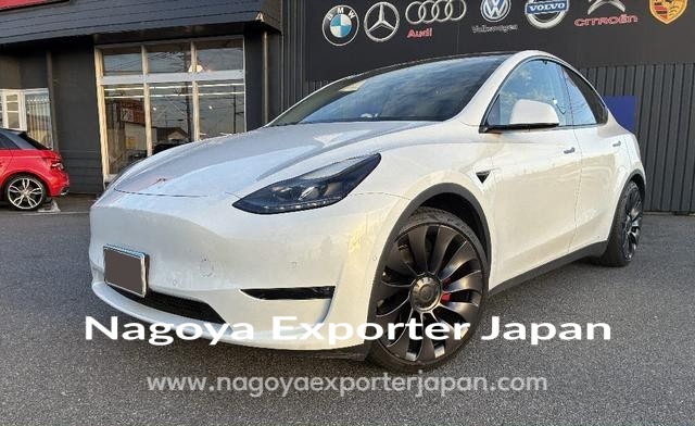 TESLA MODEL Y PERFORMANCE